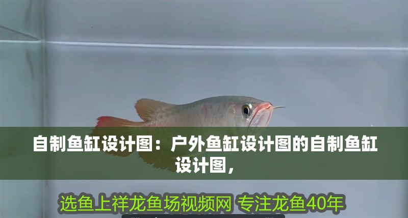自制魚缸設計圖：戶外魚缸設計圖的自制魚缸設計圖，
