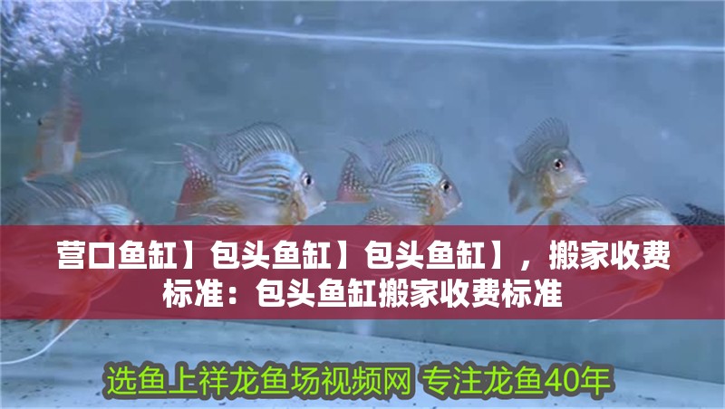 營口魚缸】包頭魚缸】包頭魚缸】，搬家收費標準：包頭魚缸搬家收費標準