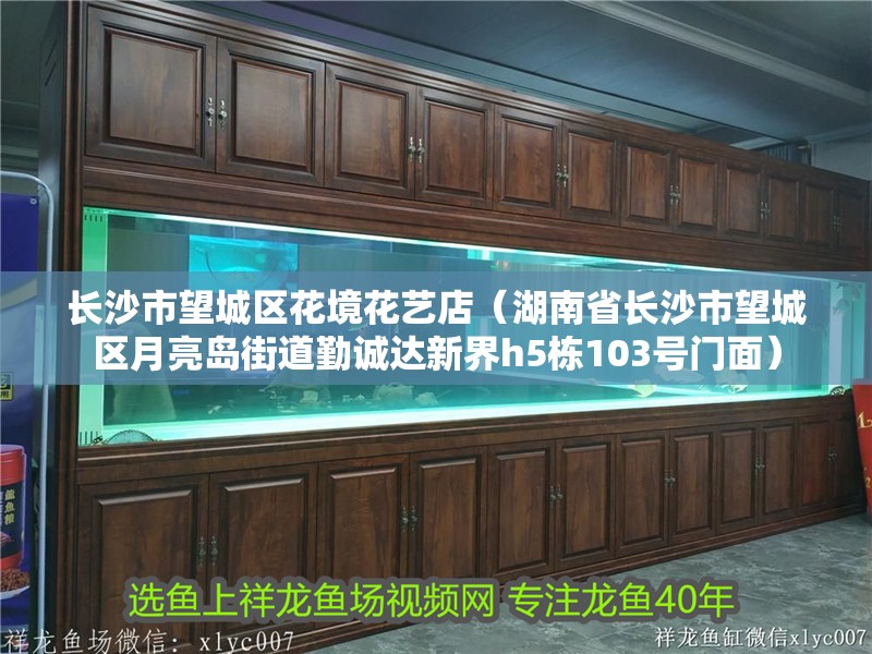 長沙市望城區(qū)花境花藝店（湖南省長沙市望城區(qū)月亮島街道勤誠達(dá)新界h5棟103號(hào)門面）
