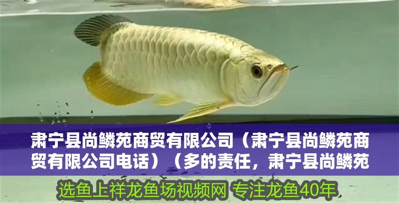 肅寧縣尚鱗苑商貿(mào)有限公司（肅寧縣尚鱗苑商貿(mào)有限公司電話）（多的責(zé)任，肅寧縣尚鱗苑商貿(mào)有限公司）