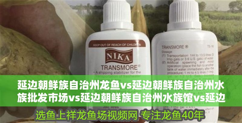 延邊朝鮮族自治州龍魚vs延邊朝鮮族自治州水族批發市場vs延邊朝鮮族自治州水族館vs延邊朝鮮族自治州魚缸批發市場vs祥龍魚場：延邊朝鮮族自治州水族館特色展覽