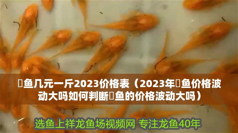 魟魚幾元一斤2023價格表（2023年魟魚價格波動大嗎如何判斷魟魚的價格波動大嗎）