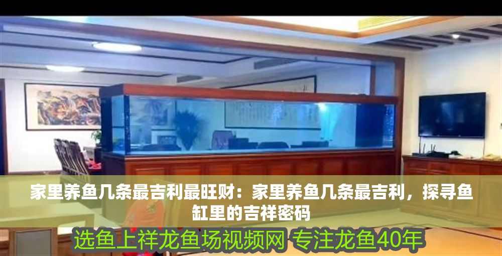 家里養魚幾條最吉利最旺財：家里養魚幾條最吉利，探尋魚缸里的吉祥密碼