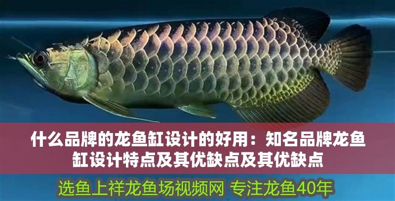 什么品牌的龍魚缸設計的好用：知名品牌龍魚缸設計特點及其優缺點及其優缺點
