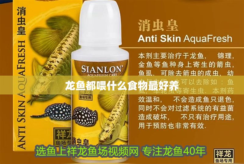 龍魚都喂什么食物最好養(yǎng)