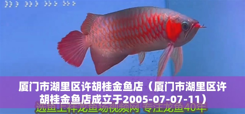 廈門市湖里區許胡桂金魚店（廈門市湖里區許胡桂金魚店成立于2005-07-07-11）