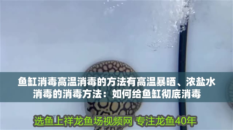 魚缸消毒高溫消毒的方法有高溫暴曬、濃鹽水消毒的消毒方法：如何給魚缸徹底消毒