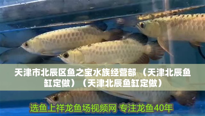 天津市北辰區(qū)魚之寶水族經(jīng)營部 （天津北辰魚缸定做）（天津北辰魚缸定做）