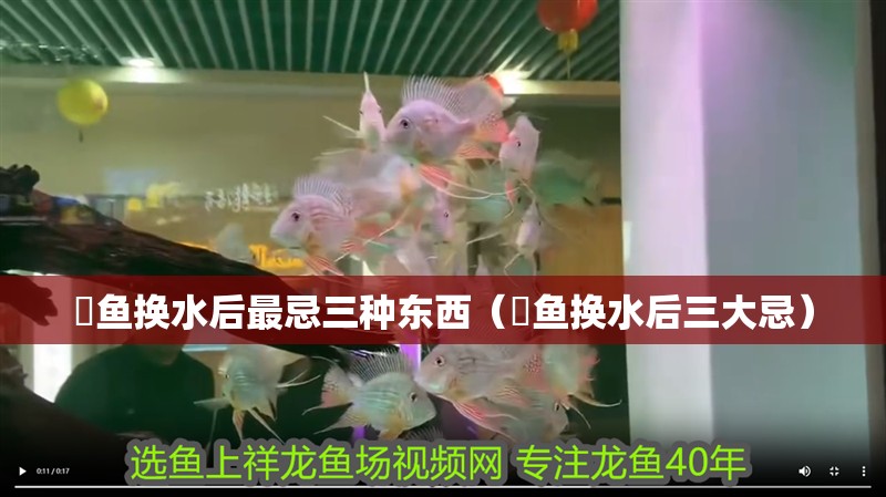 魟魚換水后最忌三種東西（魟魚換水后三大忌）