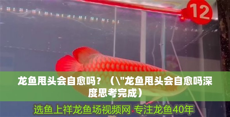 龍魚甩頭會自愈嗎？（\