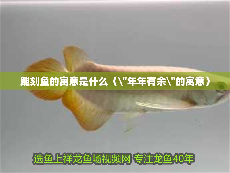 雕刻魚的寓意是什么（\
