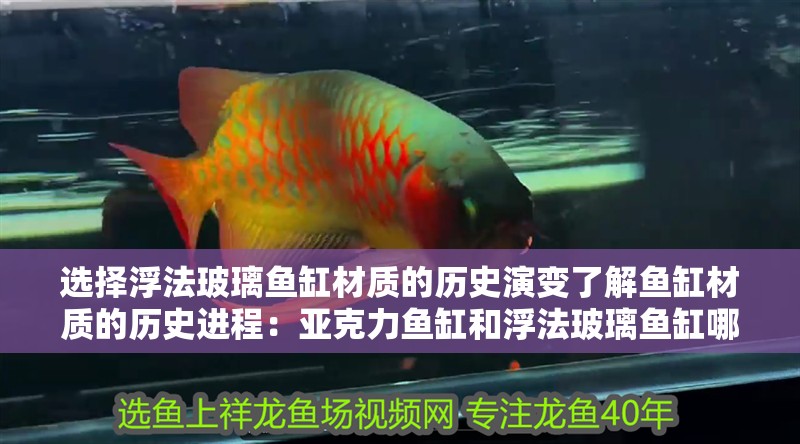 選擇浮法玻璃魚缸材質的歷史演變了解魚缸材質的歷史進程：亞克力魚缸和浮法玻璃魚缸哪個好