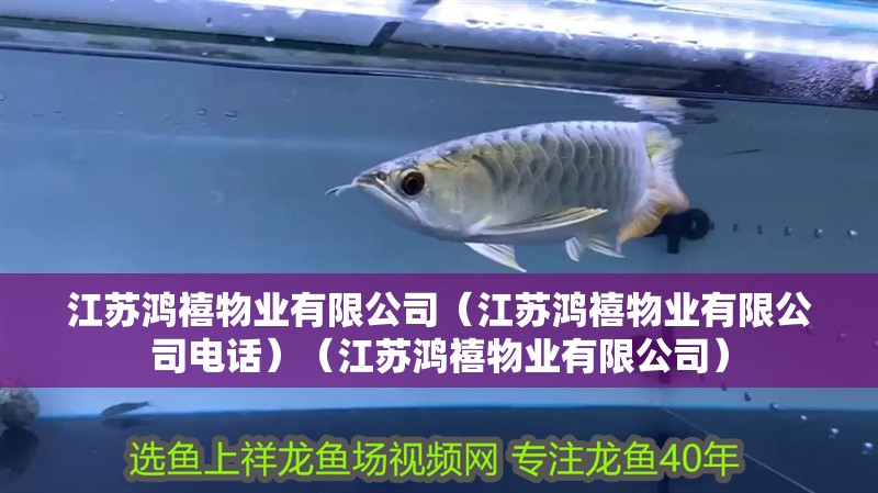 江蘇鴻禧物業有限公司（江蘇鴻禧物業有限公司電話）（江蘇鴻禧物業有限公司）