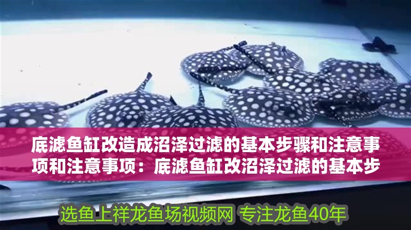 底濾魚缸改造成沼澤過濾的基本步驟和注意事項和注意事項：底濾魚缸改沼澤過濾的基本步驟和注意事項