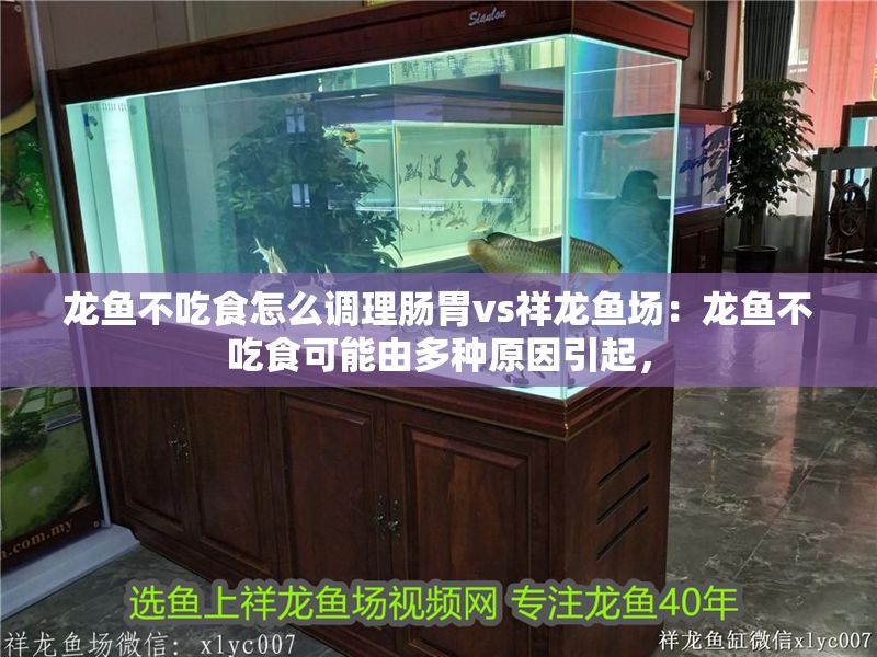 龍魚不吃食怎么調理腸胃vs祥龍魚場：龍魚不吃食可能由多種原因引起，