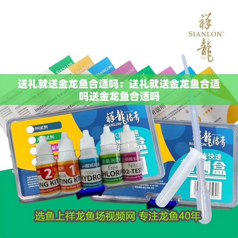 送禮就送金龍魚合適嗎：送禮就送金龍魚合適嗎送金龍魚合適嗎