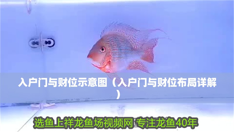 入戶門與財(cái)位示意圖（入戶門與財(cái)位布局詳解）