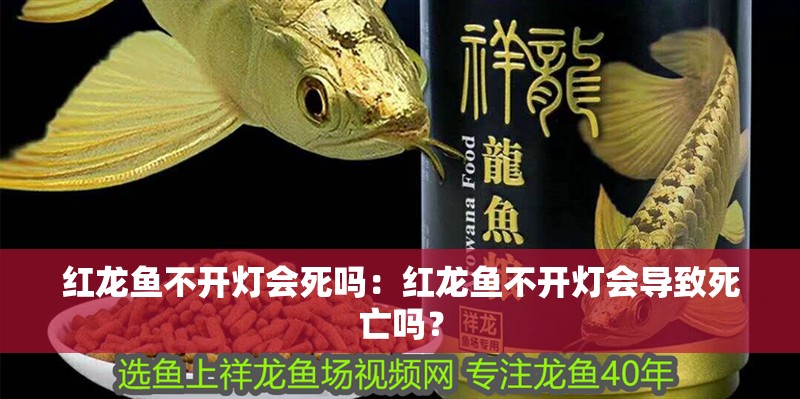 紅龍魚不開燈會死嗎：紅龍魚不開燈會導致死亡嗎？