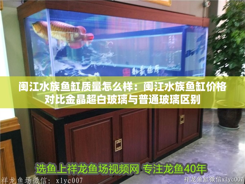 閩江水族魚缸質量怎么樣：閩江水族魚缸價格對比金晶超白玻璃與普通玻璃區別