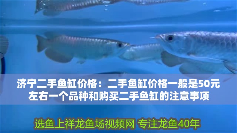 濟(jì)寧二手魚缸價(jià)格：二手魚缸價(jià)格一般是50元左右一個(gè)品種和購買二手魚缸的注意事項(xiàng)