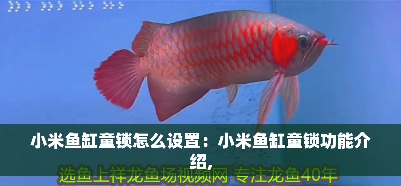 小米魚缸童鎖怎么設置：小米魚缸童鎖功能介紹,