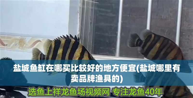 鹽城魚缸在哪買比較好的地方便宜(鹽城哪里有賣品牌漁具的)