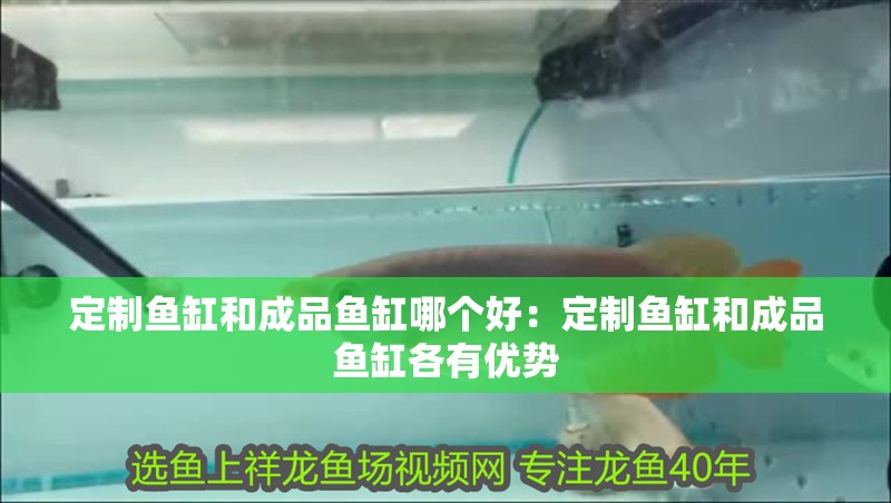 定制魚缸和成品魚缸哪個好：定制魚缸和成品魚缸各有優勢