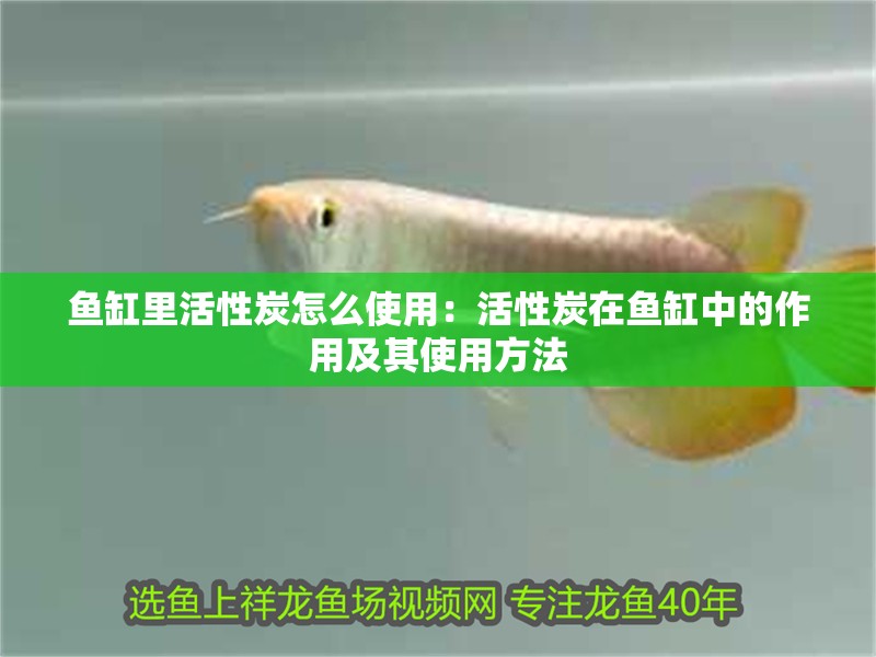 魚缸里活性炭怎么使用：活性炭在魚缸中的作用及其使用方法