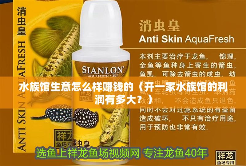 水族館生意怎么樣賺錢的（開一家水族館的利潤有多大？）