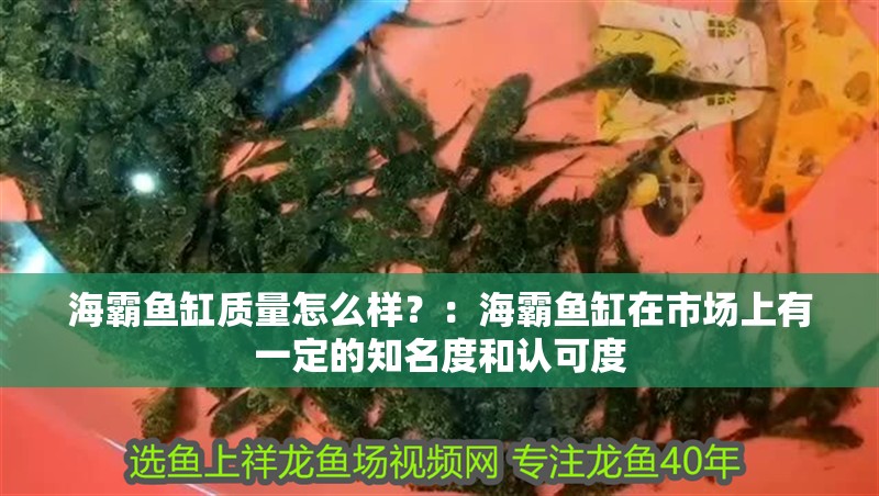 海霸魚缸質(zhì)量怎么樣？：海霸魚缸在市場(chǎng)上有一定的知名度和認(rèn)可度