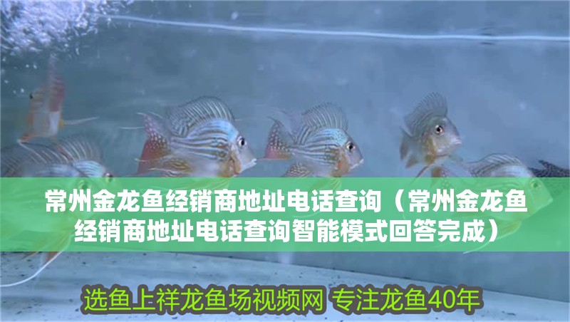 常州金龍魚經銷商地址電話查詢（常州金龍魚經銷商地址電話查詢智能模式回答完成）