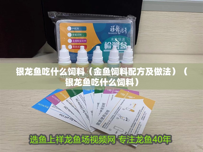 銀龍魚吃什么飼料（金魚飼料配方及做法）（銀龍魚吃什么飼料）