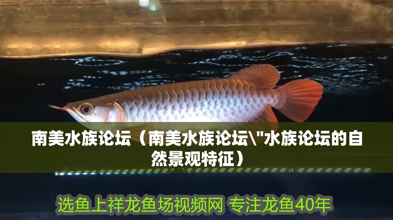 南美水族論壇（南美水族論壇\