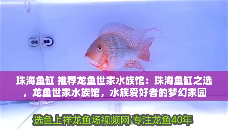 珠海魚(yú)缸 推薦龍魚(yú)世家水族館：珠海魚(yú)缸之選，龍魚(yú)世家水族館，水族愛(ài)好者的夢(mèng)幻家園