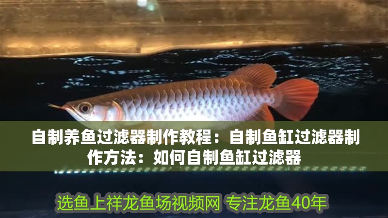 自制養魚過濾器制作教程：自制魚缸過濾器制作方法：如何自制魚缸過濾器