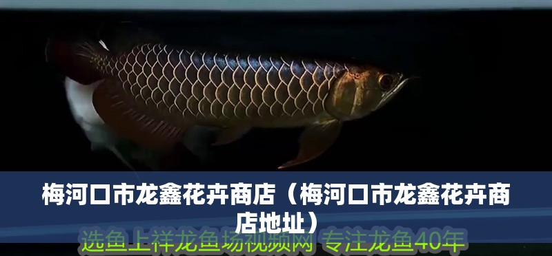 梅河口市龍鑫花卉商店（梅河口市龍鑫花卉商店地址）