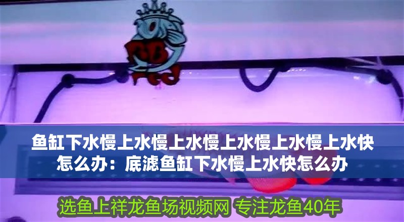 魚缸下水慢上水慢上水慢上水慢上水慢上水快怎么辦：底濾魚缸下水慢上水快怎么辦