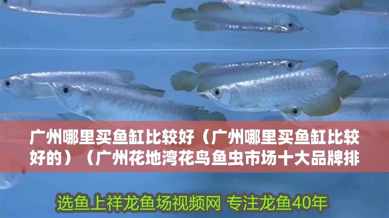 廣州哪里買魚缸比較好（廣州哪里買魚缸比較好的）（廣州花地灣花鳥魚蟲市場十大品牌排行榜森森森集團股份有哪些）