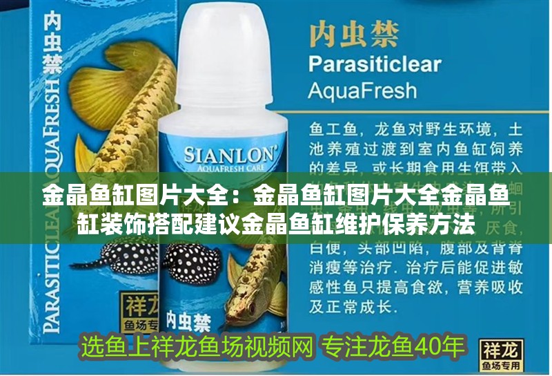 金晶魚缸圖片大全：金晶魚缸圖片大全金晶魚缸裝飾搭配建議金晶魚缸維護保養方法