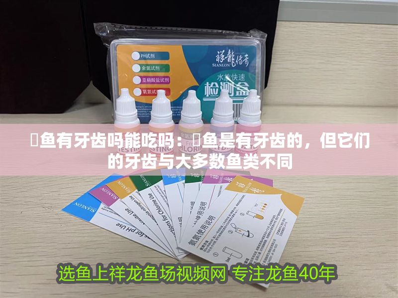 魟魚(yú)有牙齒嗎能吃嗎：魟魚(yú)是有牙齒的，但它們的牙齒與大多數(shù)魚(yú)類(lèi)不同 魟魚(yú)有牙齒嗎能吃嗎：魟魚(yú)是有牙齒的，但它們的牙齒與大多數(shù)魚(yú)類(lèi)不同 魟魚(yú)百科 第2張