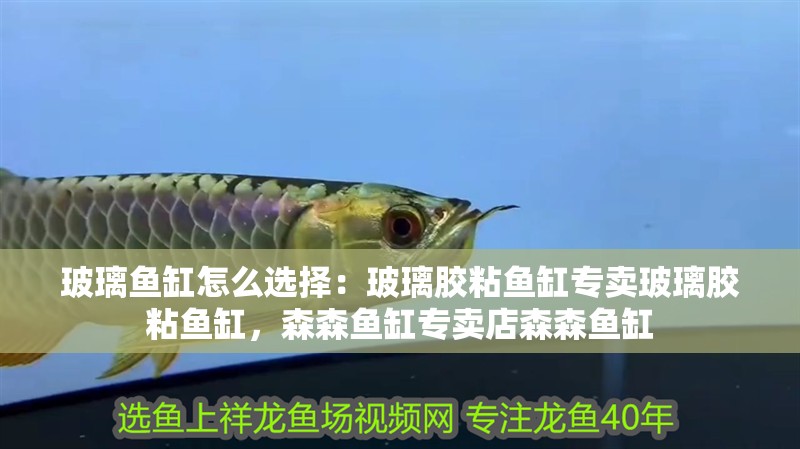 玻璃魚缸怎么選擇：玻璃膠粘魚缸專賣玻璃膠粘魚缸，森森魚缸專賣店森森魚缸