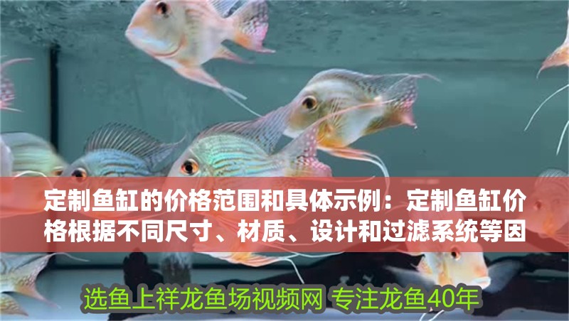 定制魚缸的價格范圍和具體示例：定制魚缸價格根據不同尺寸、材質、設計和過濾系統等因素有差異