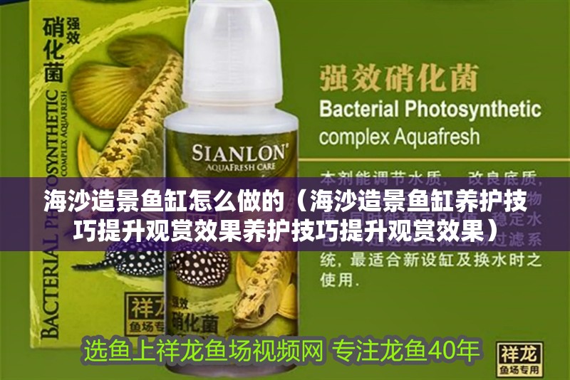 海沙造景魚缸怎么做的（海沙造景魚缸養護技巧提升觀賞效果養護技巧提升觀賞效果）