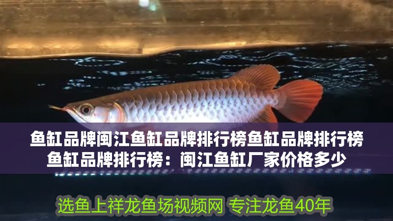 魚缸品牌閩江魚缸品牌排行榜魚缸品牌排行榜魚缸品牌排行榜：閩江魚缸廠家價格多少