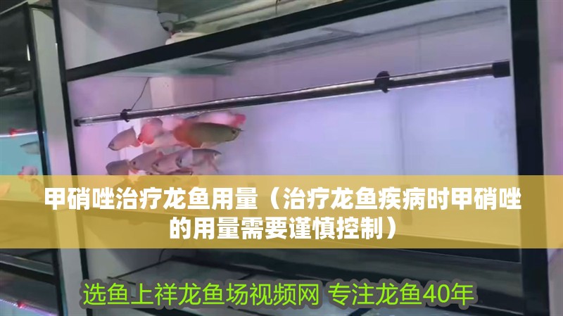 甲硝唑治療龍魚用量（治療龍魚疾病時甲硝唑的用量需要謹慎控制）