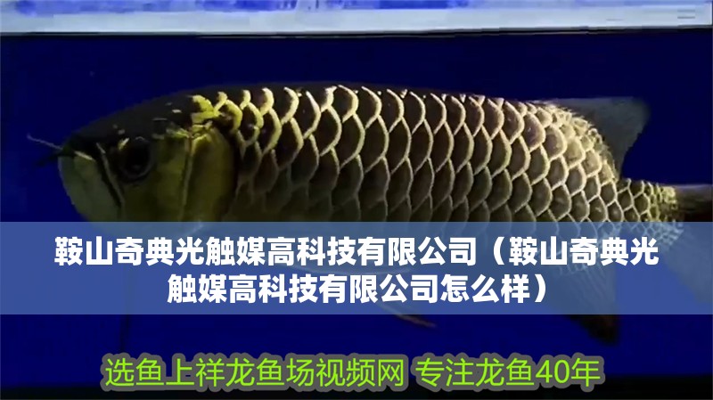 鞍山奇典光觸媒高科技有限公司（鞍山奇典光觸媒高科技有限公司怎么樣）