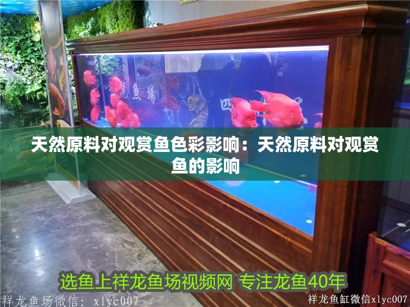 天然原料對(duì)觀賞魚色彩影響：天然原料對(duì)觀賞魚的影響