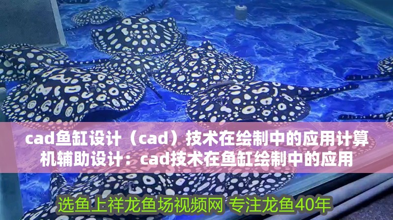 cad魚缸設計（cad）技術在繪制中的應用計算機輔助設計：cad技術在魚缸繪制中的應用 cad魚缸設計（cad）技術在繪制中的應用計算機輔助設計：cad技術在魚缸繪制中的應用 魚缸百科