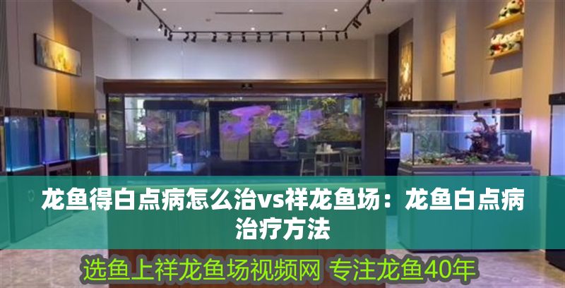 龍魚得白點病怎么治vs祥龍魚場：龍魚白點病治療方法