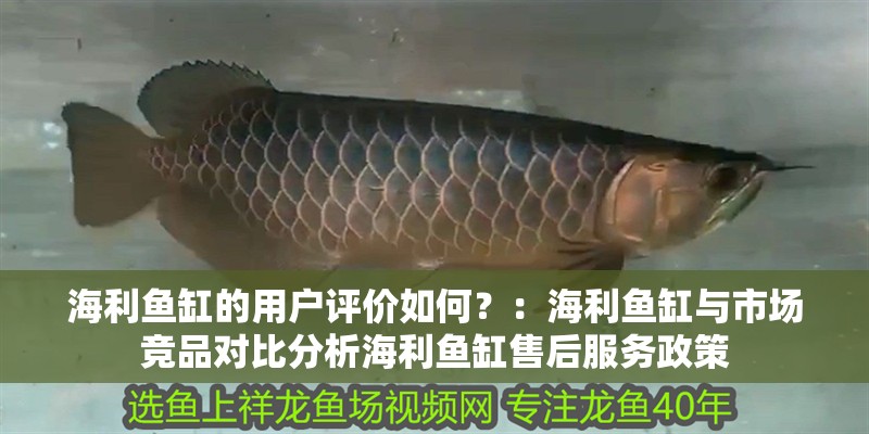 海利魚(yú)缸的用戶評(píng)價(jià)如何？：海利魚(yú)缸與市場(chǎng)競(jìng)品對(duì)比分析海利魚(yú)缸售后服務(wù)政策